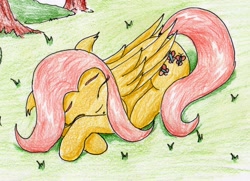 Size: 2193x1588 | Tagged: safe, artist:40kponyguy, derpibooru exclusive, fluttershy, pegasus, pony, 30 minute art challenge, cute, eyes closed, floppy ears, grass, lying down, shyabetes, sleeping, solo, traditional art