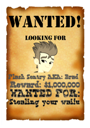 Size: 1376x1946 | Tagged: safe, flash sentry, brad, bradface, exploitable meme, meme, waifu thief, wanted poster