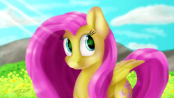 Size: 1600x900 | Tagged: safe, artist:mcmeg29, fluttershy, pegasus, pony, bust, folded wings, looking at you, looking sideways, portrait, smiling, solo, wings