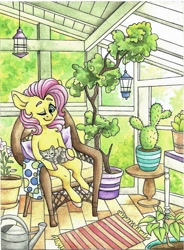 Size: 1024x1389 | Tagged: safe, artist:twixyamber, fluttershy, cat, pegasus, pony, cactus, chair, greenhouse, plant, solo, tree, watering can