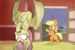 Size: 1280x853 | Tagged: safe, artist:heir-of-rick, applejack, fluttershy, bat pony, earth pony, pony, daily apple pony, barn, bipedal, caught, cute, exclamation point, flutterbat, jackabetes, race swap, shyabates, shyabetes, sweat, younger