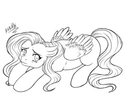 Size: 1000x750 | Tagged: safe, artist:dslycaon, fluttershy, pegasus, pony, black and white, blushing, female, floppy ears, grayscale, lineart, looking at you, looking sideways, looking up, mare, missing cutie mark, monochrome, prone, simple background, solo, white background, wings