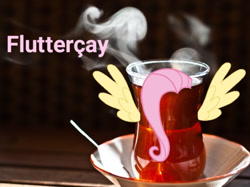 Size: 1050x787 | Tagged: safe, edit, fluttershy, cay, food, image macro, irl, mane, meme, photo, ponies in real life, pun, silly, solo, spread wings, tea, turkish, wingboner, wings, çay