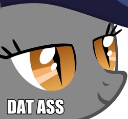 Size: 1305x1220 | Tagged: safe, oc, oc only, oc:echo, bat pony, pony, bedroom eyes, dat butt, image macro, meme, simple background, solo, vulgar, white background