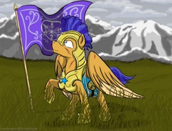 Size: 1024x784 | Tagged: safe, artist:cozmicpandawolf, flash sentry, armor, crystal empire, crystal guard, flag, helmet, scar, solo