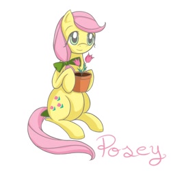 Size: 720x720 | Tagged: safe, artist:shiaran, posey, earth pony, pony, g1, ask, askposey, bow, flower, flower pot, g1 to g4, generation leap, hair bow, simple background, sitting, solo, tail bow, tulip, tumblr, white background