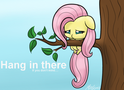 Size: 1024x741 | Tagged: safe, artist:mimicproductions, fluttershy, pegasus, pony, chibi, cute, female, hang in there, hanging, mare, shyabetes, solo, tree, tree branch