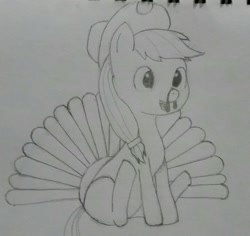 Size: 1280x1210 | Tagged: safe, artist:downhillcarver, artist:downhillcarver-art, applejack, earth pony, pony, pencil, pencil drawing, solo, thanksgiving, traditional art, turkey