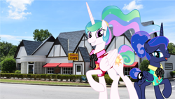 Size: 5000x2824 | Tagged: safe, artist:disneymarvel96, edit, princess celestia, princess luna, pony, between dark and dawn, alternate hairstyle, bowtie, clothes, colonel sanders, hair bun, hawaiian shirt, irl, kentucky, kfc, photo, ponies in real life, ponytail, ribbon, sanders cafe, shirt, string tie, vector, vector edit