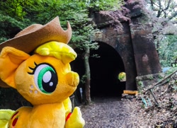 Size: 2047x1480 | Tagged: safe, artist:setorin5, applejack, 4de, irl, japan, photo, plushie, ponies around the world, solo, tunnel