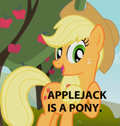 Size: 683x717 | Tagged: safe, applejack, earth pony, pony, captain obvious, female, headcanon, image macro, mare, meme, open mouth, raised hoof, smiling, solo