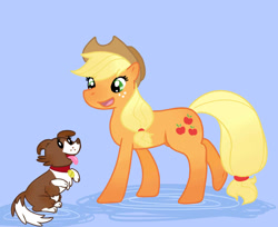 Size: 858x700 | Tagged: safe, artist:guiltyp, applejack, winona, earth pony, pony, simple background