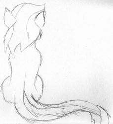 Size: 1772x1932 | Tagged: safe, artist:wesleyfoxx, derpibooru exclusive, applejack, monster pony, original species, tatzlpony, monochrome, pencil drawing, rear view, sitting, sketch, solo, species swap, tatzljack, traditional art