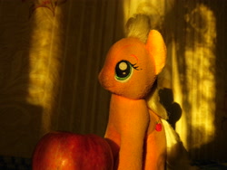 Size: 4608x3456 | Tagged: safe, artist:mfg637, applejack, earth pony, pony, absurd resolution, apple, female, food, irl, light and dark, mare, photo, photography, plushie, solo, sun light