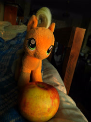 Size: 3456x4608 | Tagged: safe, artist:mfg637, applejack, earth pony, pony, absurd resolution, apple, female, food, irl, mare, photo, photography, plushie, solo, sun light