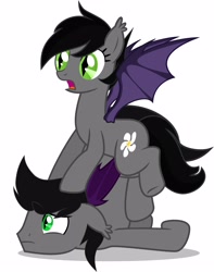 Size: 3932x5000 | Tagged: safe, artist:vinny, oc, oc only, oc:aux, oc:jasmine, bat pony, pony, simple background, vector, white background