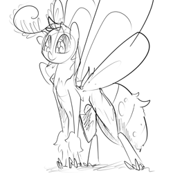 Size: 960x960 | Tagged: source needed, safe, artist:whydomenhavenipples, oc, oc only, mothpony, original species, monochrome, moth pony general, simple background, solo, white background