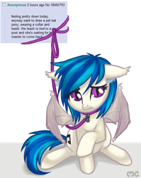 Size: 556x700 | Tagged: safe, artist:mcponyponypony, dj pon-3, vinyl scratch, bat pony, pony, /mlp/, 4chan, collar, leash, pet, pet tag, pony pet, post, pun, race swap, solo, vinylbat, visual pun