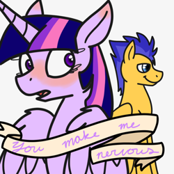 Size: 1000x1000 | Tagged: safe, artist:sunshine-heart, flash sentry, twilight sparkle, twilight sparkle (alicorn), alicorn, female, flashlight, male, nervous, shipping, straight, text