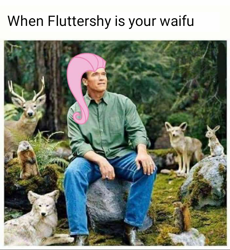 Size: 480x521 | Tagged: safe, edit, fluttershy, beaver, deer, fox, human, rabbit, squirrel, wolf, animal, arnold schwarzenegger, implied fluttershy, irl, irl human, mane, meme, obligatory pony, photo, sitting, smiling, tree