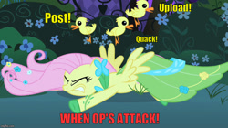Size: 888x499 | Tagged: safe, edit, edited screencap, screencap, fluttershy, pegasus, pony, the best night ever, clothes, dress, duckling, gala dress, image macro, imgflip, meme, op is a cuck, op is trying to start shit