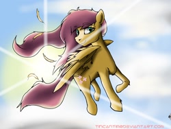 Size: 2000x1500 | Tagged: safe, artist:tincantim, fluttershy, pegasus, pony, flying, solo, sun, windswept mane