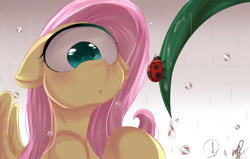 Size: 1700x1080 | Tagged: safe, artist:phuocthiencreation, edit, fluttershy, cyclops, ladybug, pegasus, pony, adoracreepy, blushing, creepy, cute, female, floppy ears, looking at something, miraculous ladybug, one eye, open mouth, rain, shyclops, signature, solo, wat, wet mane