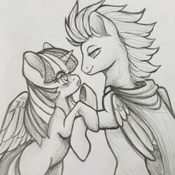 Size: 1512x1512 | Tagged: safe, artist:cabbage-arts, flash sentry, twilight sparkle, twilight sparkle (alicorn), alicorn, pegasus, pony, cape, clothes, couple, female, flashlight, male, mare, monochrome, profile, shipping, stallion, straight, traditional art