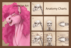 Size: 1800x1200 | Tagged: safe, artist:turnipberry, pinkie pie, pony, anatomy, anatomy study, bone, female, mare, realistic anatomy, skeleton, solo