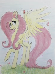 Size: 1152x1554 | Tagged: safe, artist:miss-racco0n, fluttershy, pegasus, pony, female, mare, solo, traditional art