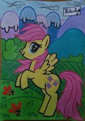 Size: 946x1344 | Tagged: safe, artist:msxmaryx, fluttershy, parasprite, pegasus, pony, blind bag fluttershy, coloring book, female, mare, rearing, recolor, solo