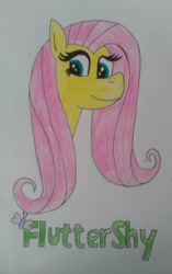 Size: 822x1307 | Tagged: safe, artist:wouterthebelgian1999, fluttershy, pegasus, pony, solo, traditional art