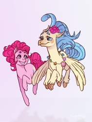 Size: 1046x1383 | Tagged: safe, artist:liquorie, pinkie pie, princess skystar, classical hippogriff, earth pony, hippogriff, pony, my little pony: the movie, couple, cute, female, flying, gray background, lesbian, shipping, simple background, skypie