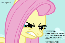 Size: 1080x720 | Tagged: safe, edit, edited screencap, screencap, fluttershy, pegasus, pony, putting your hoof down, angry, cropped, implied goldie delicious, reality ensues, text