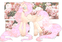 Size: 3000x2068 | Tagged: safe, artist:peachyy-tea, fluttershy, pegasus, pony, female, flower, lightly watermarked, mare, simple background, solo, sparkles, transparent background, unshorn fetlocks, watermark