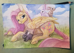 Size: 576x413 | Tagged: safe, artist:sparkynekomi, fluttershy, pegasus, pony, rabbit, female, mare, solo, traditional art, underhoof, watercolor painting