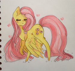 Size: 2448x2330 | Tagged: safe, artist:nakokohari, fluttershy, pegasus, pony, female, mare, solo, traditional art