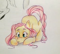 Size: 1024x917 | Tagged: safe, artist:kotnaszynce, fluttershy, pegasus, pony, face down ass up, female, looking at something, looking down, mare, missing cutie mark, solo, traditional art