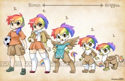 Size: 3000x1941 | Tagged: safe, artist:shepherd0821, oc, oc only, oc:rainbow feather, anthro, griffon, human, hybrid, semi-anthro, anthro chart, beak, clothes, cute, dress, humanized, interspecies offspring, mane, offspring, parent:gilda, parent:rainbow dash, parents:gildash