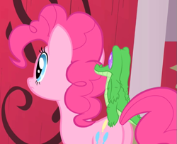 Size: 589x478 | Tagged: safe, screencap, gummy, pinkie pie, earth pony, pony, party of one, cropped, gators riding ponies, plot