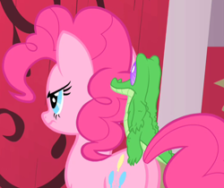 Size: 540x453 | Tagged: safe, screencap, gummy, pinkie pie, earth pony, pony, party of one, cropped, gators riding ponies, plot