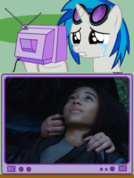 Size: 564x750 | Tagged: safe, dj pon-3, vinyl scratch, pony, unicorn, exploitable meme, meme, obligatory pony, rue, the hunger games, tv meme