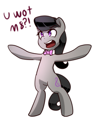 Size: 689x900 | Tagged: safe, artist:acharmingpony, octavia melody, earth pony, pony, angry, backwards cutie mark, bow, bowtie, cockney, female, mare, octchavia, open mouth, reaction image, simple background, solo, u wot m8, white background