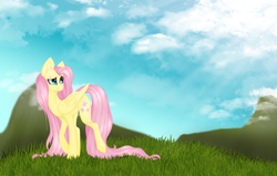 Size: 2466x1564 | Tagged: safe, artist:acidthead, artist:sodapopfairypony, fluttershy, pegasus, pony, collaboration, crepuscular rays, female, folded wings, grass, head turn, looking away, mare, raised hoof, raised leg, sky, smiling, solo, wings