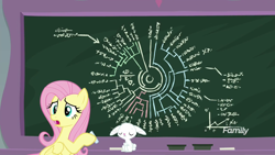 Size: 1920x1080 | Tagged: safe, screencap, angel bunny, fluttershy, pegasus, pony, rabbit, school daze, chalkboard, dexterous hooves, discovery family logo, duo, phylogenetic tree