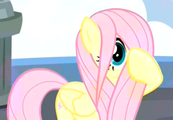 Size: 476x329 | Tagged: safe, screencap, fluttershy, pegasus, pony, school daze, cropped, cute, female, hair over one eye, hiding behind mane, mare, shyabetes, solo