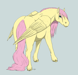 Size: 1182x1142 | Tagged: artist needed, source needed, safe, fluttershy, pegasus, pony, gray background, hoers, long tail, rear view, simple background, solo, unshorn fetlocks