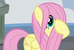 Size: 558x378 | Tagged: safe, screencap, fluttershy, pegasus, pony, school daze, cropped, cute, female, hair over one eye, mare, shyabetes, solo