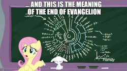 Size: 888x499 | Tagged: safe, edit, edited screencap, screencap, angel bunny, fluttershy, pegasus, pony, rabbit, school daze, chalk, chalkboard, dexterous hooves, duo, end of evangelion, meme, neon genesis evangelion, otakushy, phylogenetic tree