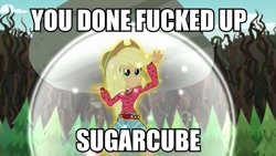 Size: 889x500 | Tagged: safe, edit, edited screencap, screencap, applejack, equestria girls, legend of everfree, boho, boulder, clothes, female, freckles, hat, image macro, lifting, meme, ponied up, scenery, shorts, solo, stronk, sugarcube, super strength, tree, vulgar